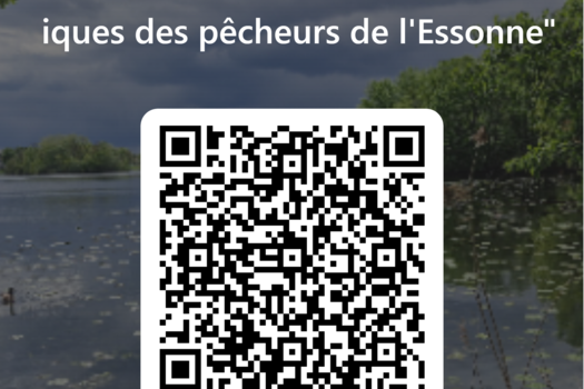 Développement du loisir pêche